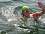 TBMS2008EricaMoffettswimming.JPG